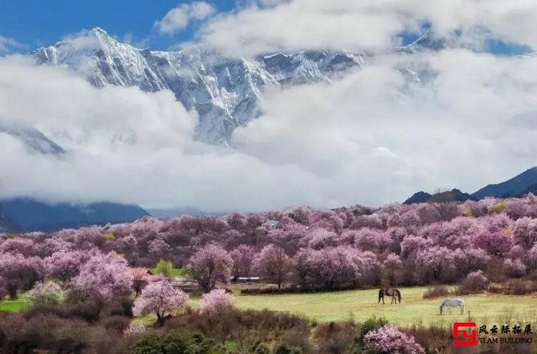 國內(nèi)旅行團(tuán)建